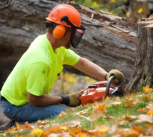 tree services Glen Ullin